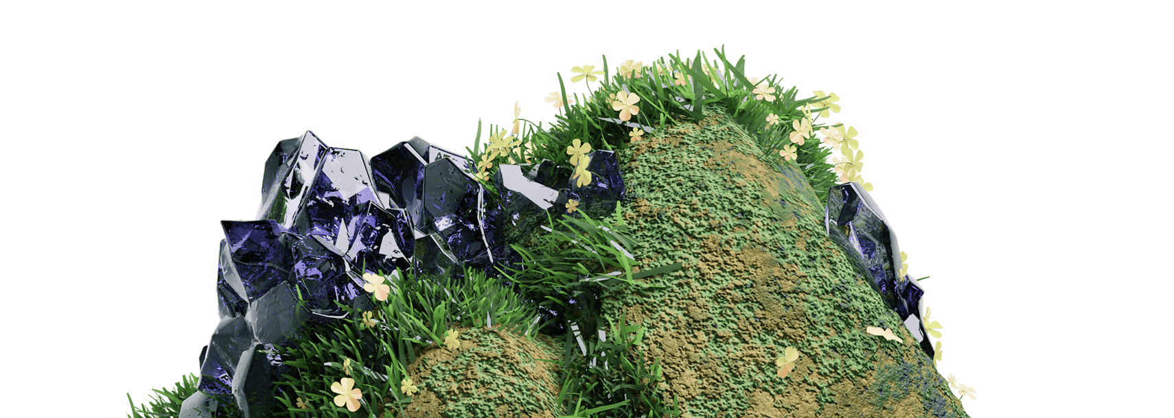 Implementation process